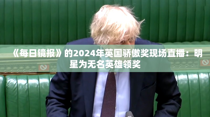 《每日镜报》的2024年英国骄傲奖现场直播：明星为无名英雄领奖