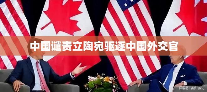 中国谴责立陶宛驱逐中国外交官